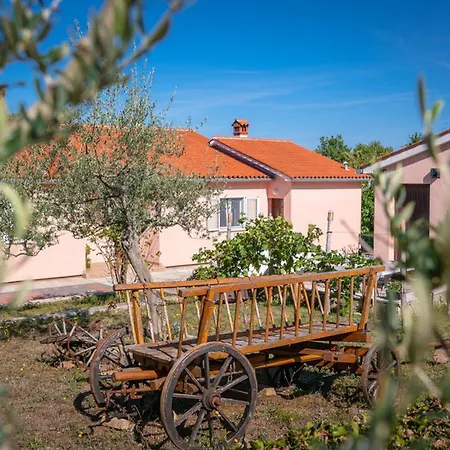 Villa Zelena Oaza Labin (Istria)